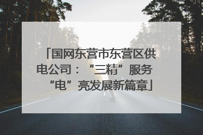 国网东营市东营区供电公司：“三精”服务“电”亮发展新篇章